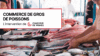 Commerce de gros de poissons - Chasseur de Primes